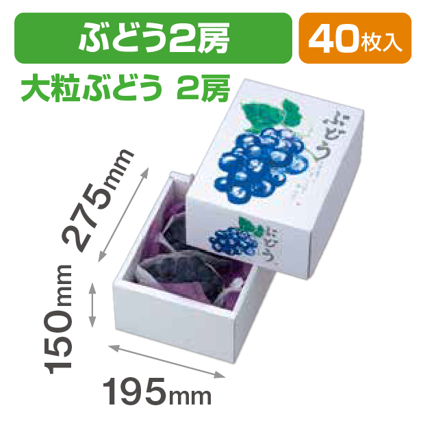 もぎたてのぶどう150H