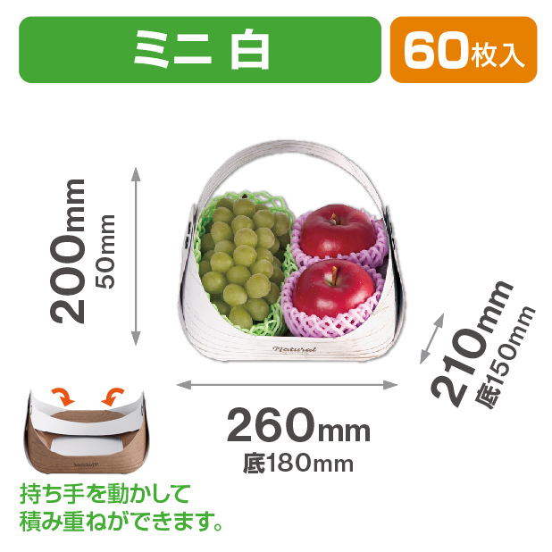 フルーツバスケット ミニ白