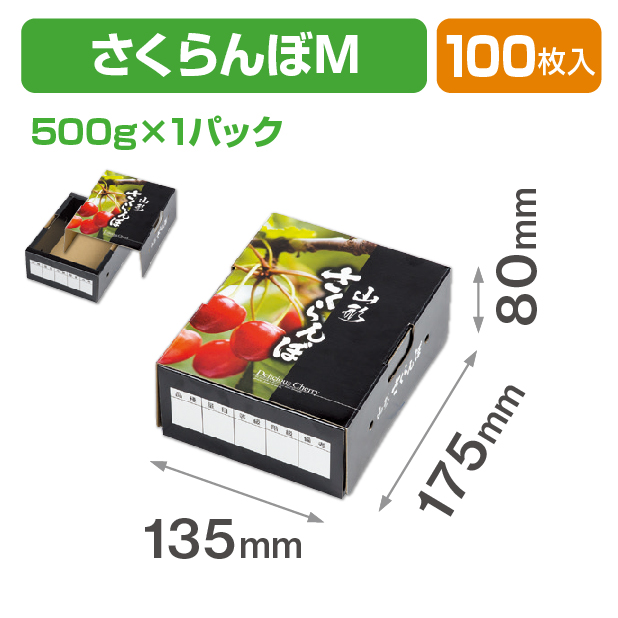 さくらんぼ M 山形