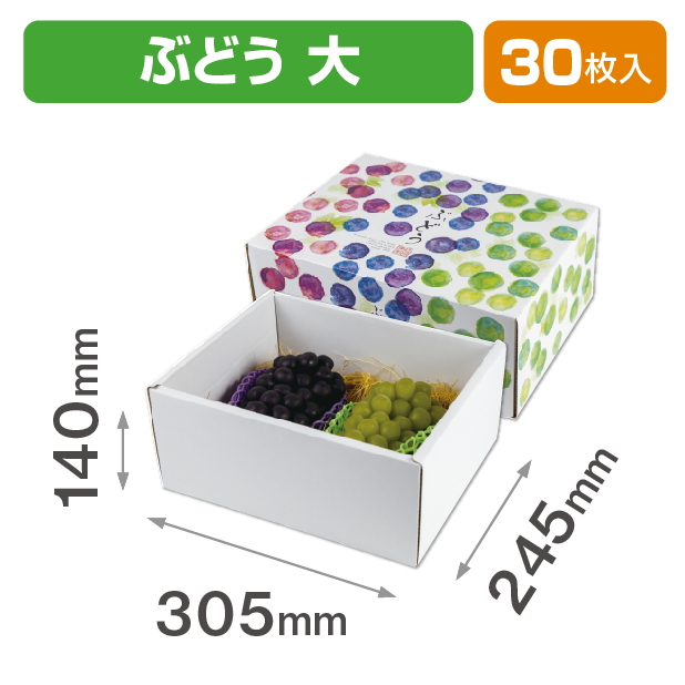 彩りぶどう大 身深