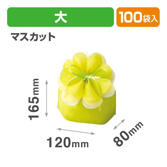 ブルーミング巾着 大　マスカット