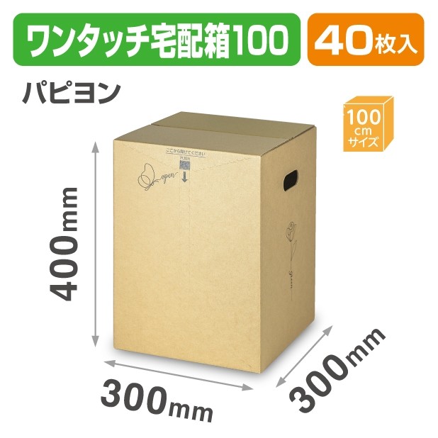 F-551 ワンタッチ宅配箱100　パピヨン