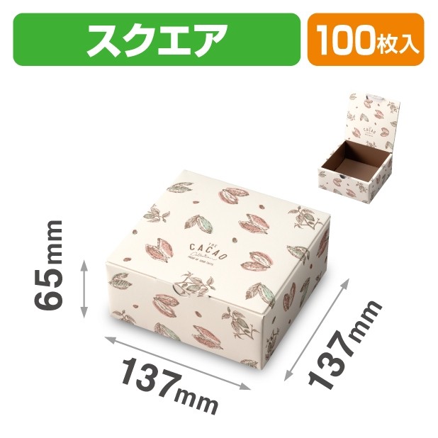 20-2231 CACAO スクエア