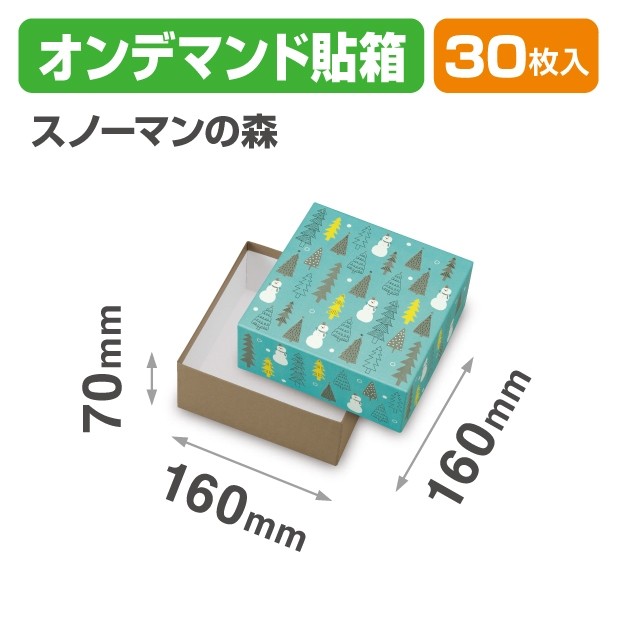 20-2319 貼箱 スノーマンの森