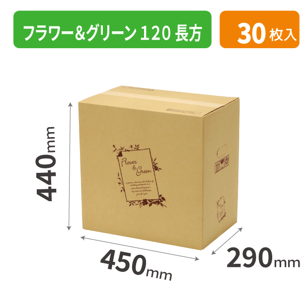 F-552 フラワー＆グリーン 120 長方