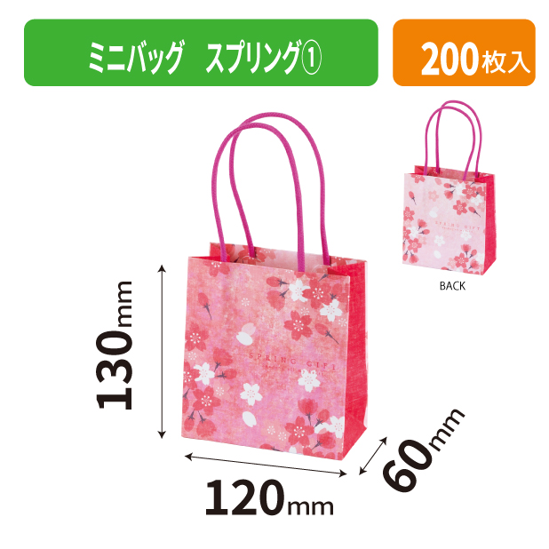 20-2615 ミニバッグ スプリング①