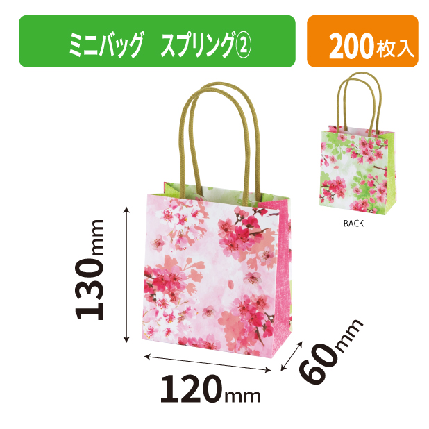 20-2616 ミニバッグ スプリング②