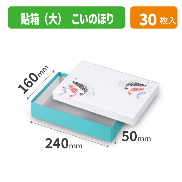 19-1543 貼箱（大）こいのぼり