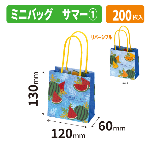 20-2694 ミニバッグ　サマー①