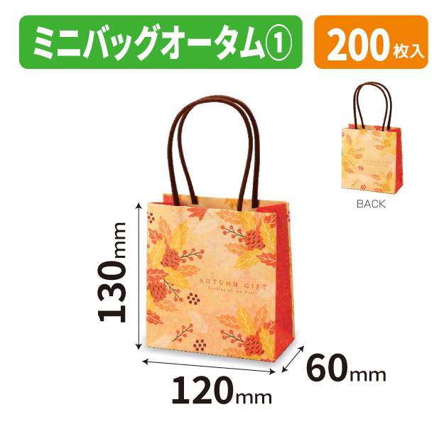 20-2696 ミニバッグ オータム①