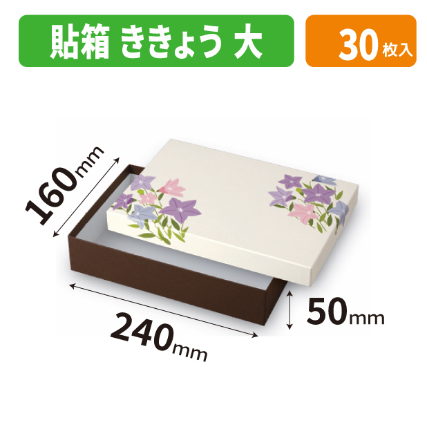 19-1549 貼箱 ききょう 大