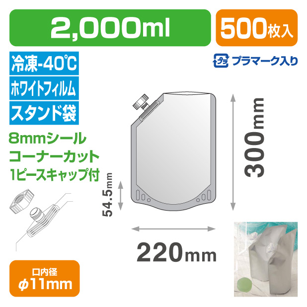 ＤＰＡ－２０００