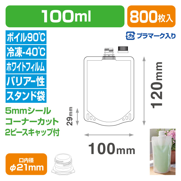ＤＰ２１－ＴＷ０１００