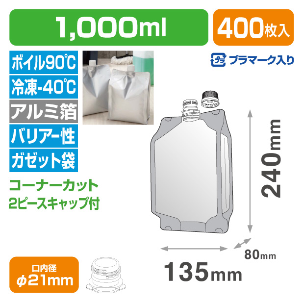ＤＰ２１－ＧＡ１０００