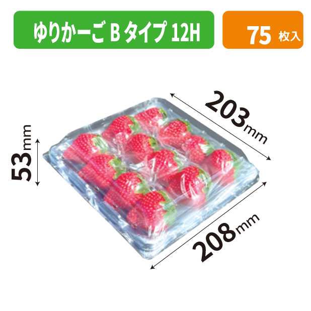 ゆりかーごBタイプ 12H