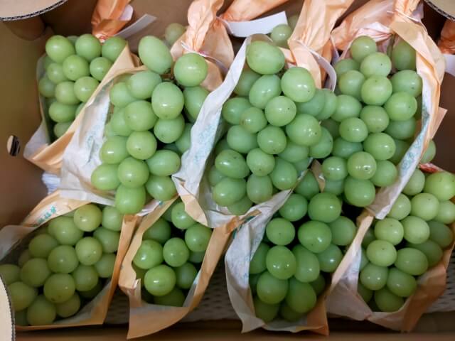 産地直送で果物を届けるための梱包の基本ポイント