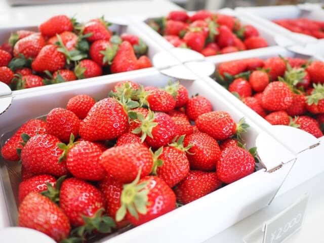 鮮度を守るカギは温度管理！保冷箱を活用した梱包テクニック